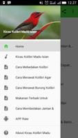 Kicau Kolibri Madu Full Isian Cartaz