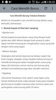Suara Burung Tekukur||Dekukur imagem de tela 3