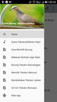 Suara Burung Tekukur||Dekukur Cartaz