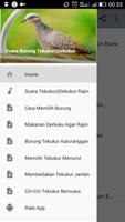 Suara Burung Tekukur||Dekukur โปสเตอร์