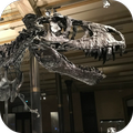 T-Rex Sounds
