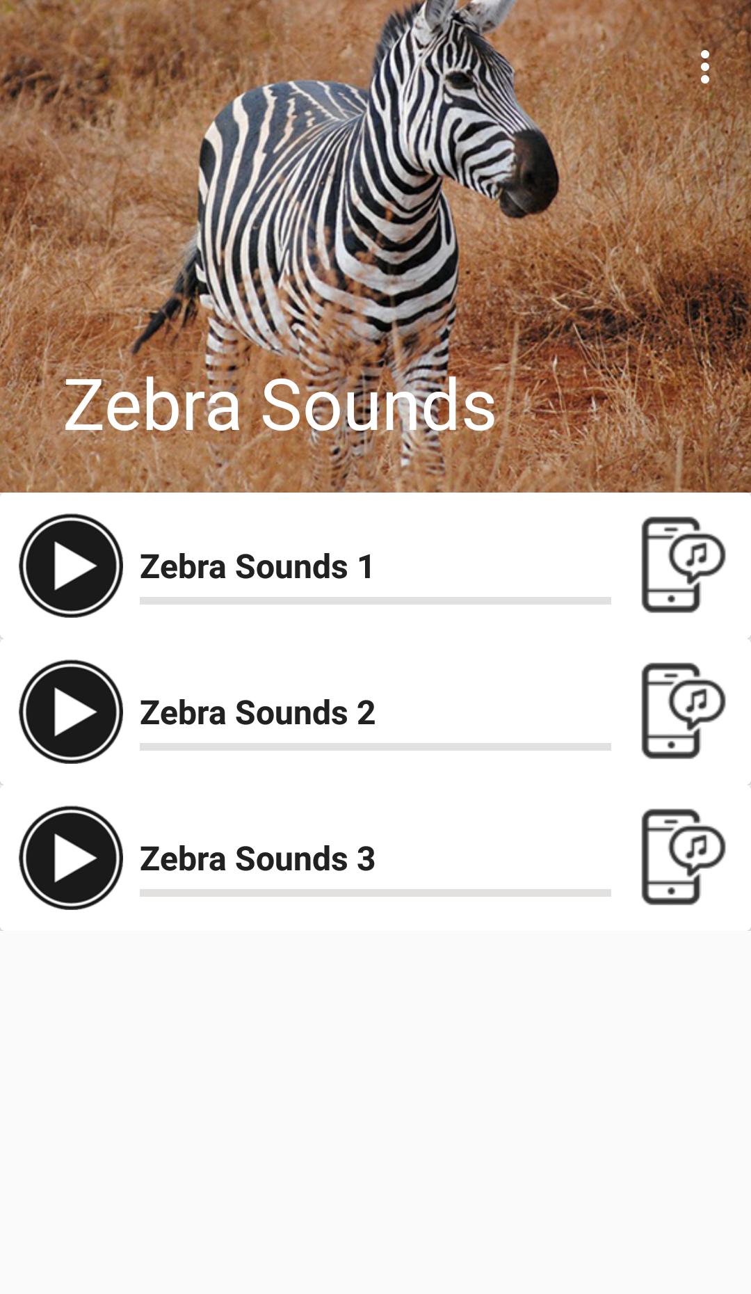 Зебра какой звук. Редактор Зебра. Звуки зебр. Зебра звуковая цветовая схема. Обучающее приложение Зебра.