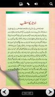 kalki avtar urdu ภาพหน้าจอ 2