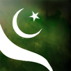 selfie with pakistan flag APK