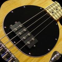 Bass Guitar 截圖 1