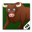Learn Animal Names in Brazilian Portuguese