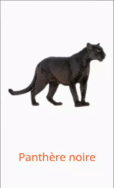 Learn Animal Names in French APK for Android Download Learn Animal Names in French APK for Android Download