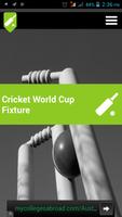Cricket World Cup 2015 Affiche