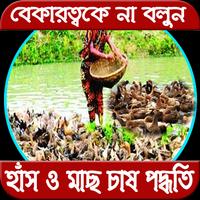 মাছ ও হাঁস চাষ পদ্ধতি-poster