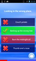 English Idioms Quiz 스크린샷 1