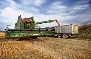 Farm wheat harvester puzzle 스크린샷 1