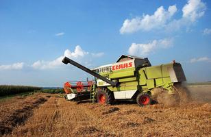 Farm wheat harvester puzzle capture d'écran 3