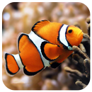 Colorful underwater world puzzle APK