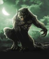 Puzzle horor Werewolf screenshot 1