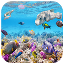 Ocean Fantasy World Puzzle APK