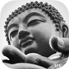 Buddha Gallery Background HD أيقونة
