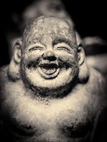 Buddha Gallery Background HD تصوير الشاشة 1