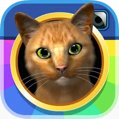 InstaKitty 3D-Virtual Cat Sim XAPK Herunterladen