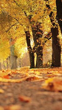 Download 3000+ Wallpaper Cantik Samsung Terbaik Download 3000+ Wallpaper Cantik Samsung Terbaik