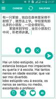 Galician Chinese Translator Affiche