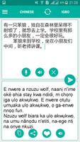 Igbo Chinese Translator 포스터