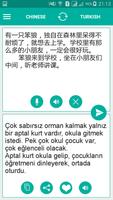 Turkish Chinese Translator پوسٹر