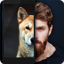 What dog are you Face scanner-APK