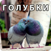 Тест на любовь и отношения