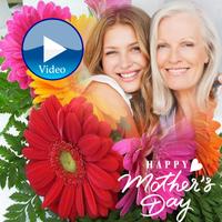 Happy Mother's Day Video Maker imagem de tela 2
