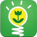 Idées Bricolage Jardin APK