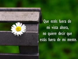 Love Pictures (Spanish) 스크린샷 3