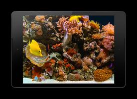 Aquarium 3D Affiche