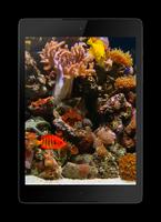 Aquarium 3D ภาพหน้าจอ 1