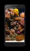 Aquarium 3D capture d'écran 2