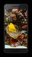 Aquarium 3D capture d'écran 3