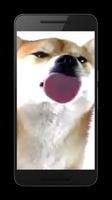 Dog Licks Screen Wallpaper screenshot 3