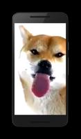 Dog Licks Screen Wallpaper screenshot 2