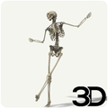 Dancing Skeleton Wallpaper