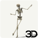 Dancing Skeleton Wallpaper APK