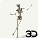 Dancing Skeleton Wallpaper-APK