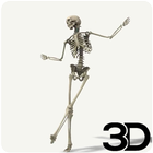 Dancing Skeleton Wallpaper icône