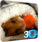 Icona Hamster Video Wallpaper