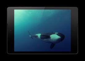 Orca Live Wallpaper Affiche