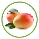 Mango Vision APK