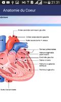 Anatomie du Coeur capture d'écran 3