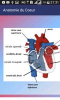 Anatomie du Coeur capture d'écran 2