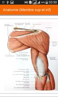 Anatomie du Corps الملصق