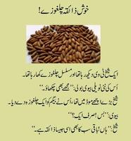 New Urdu Jokes syot layar 1