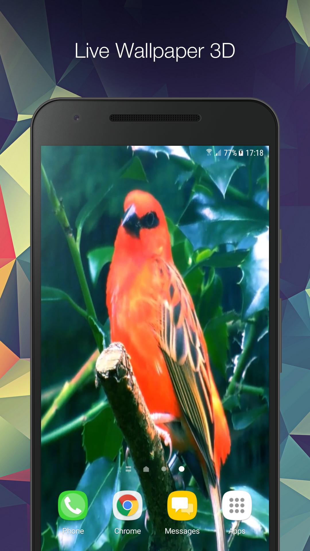 Download 400 Wallpaper Animasi Burung HD Gratis Download 400 Wallpaper Animasi Burung HD Gratis