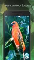 Birds Live Wallpaper 截圖 1